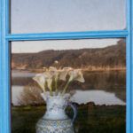 La Ventana de Paula Dornan (promoción 2016)